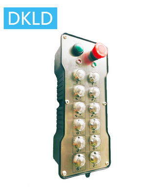 Twelve-way dual speed switch industrial remote control